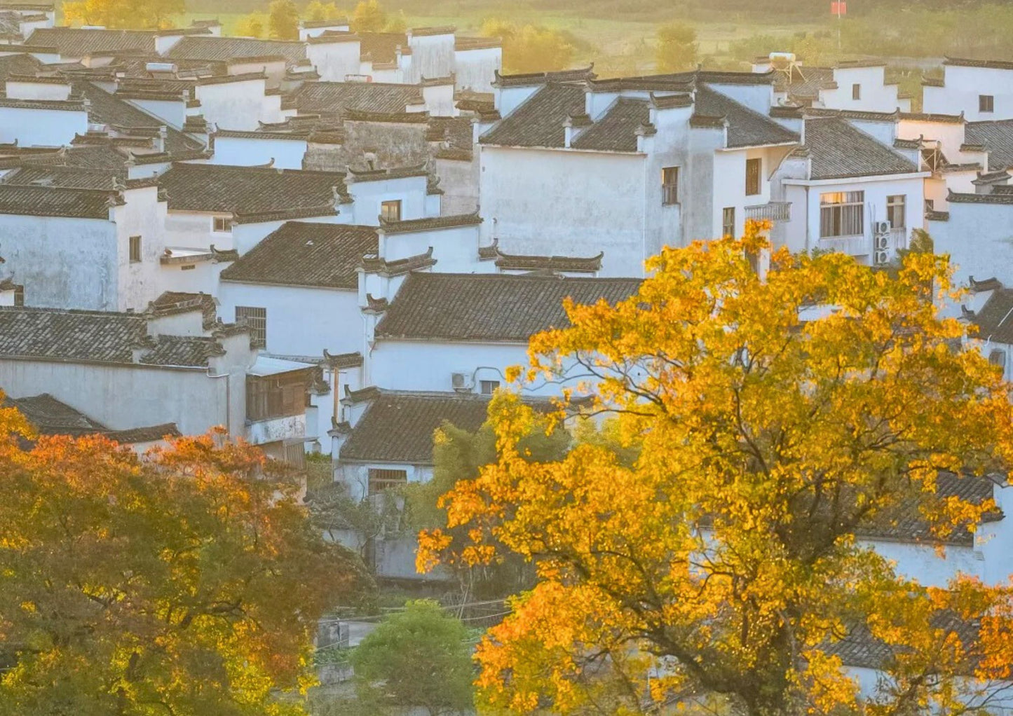 7日間の黄山プライベートツアー