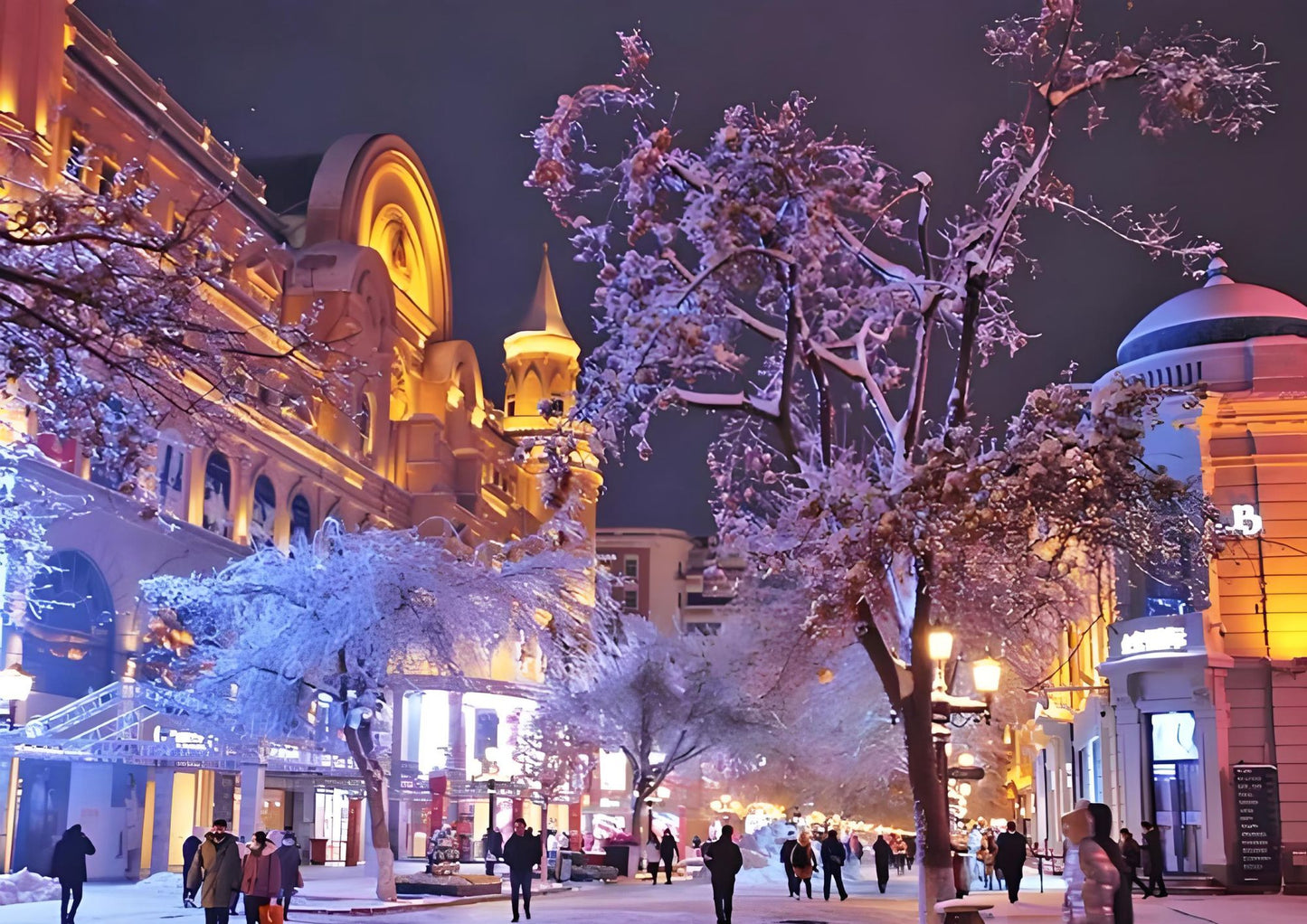 8 DAYS HARBIN PRIVATE TOUR