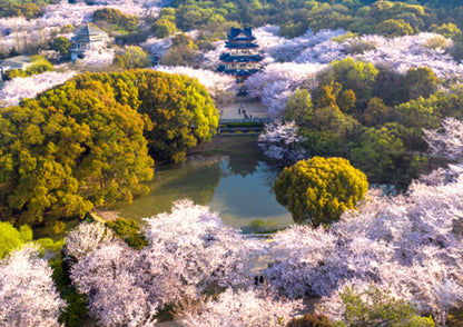 5 DAYS JIANGSU PRIVATE TOUR