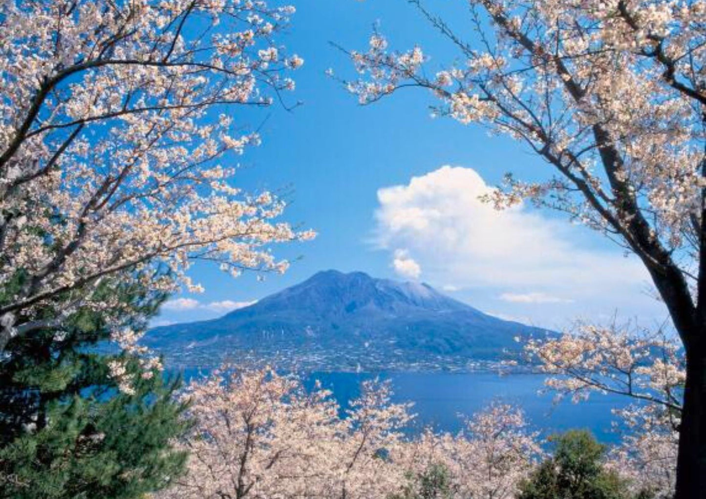 8 DAYS SOUTH KYUSHU PRIVATE TOUR