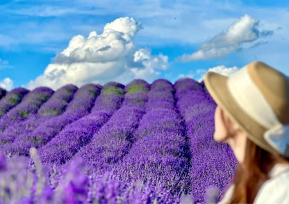 10 DAYS NORTH & WEST XINJIANG PRIVATE TOUR