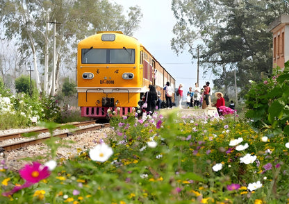 14 DAYS XISHUANGBANNA PRIVATE TOUR