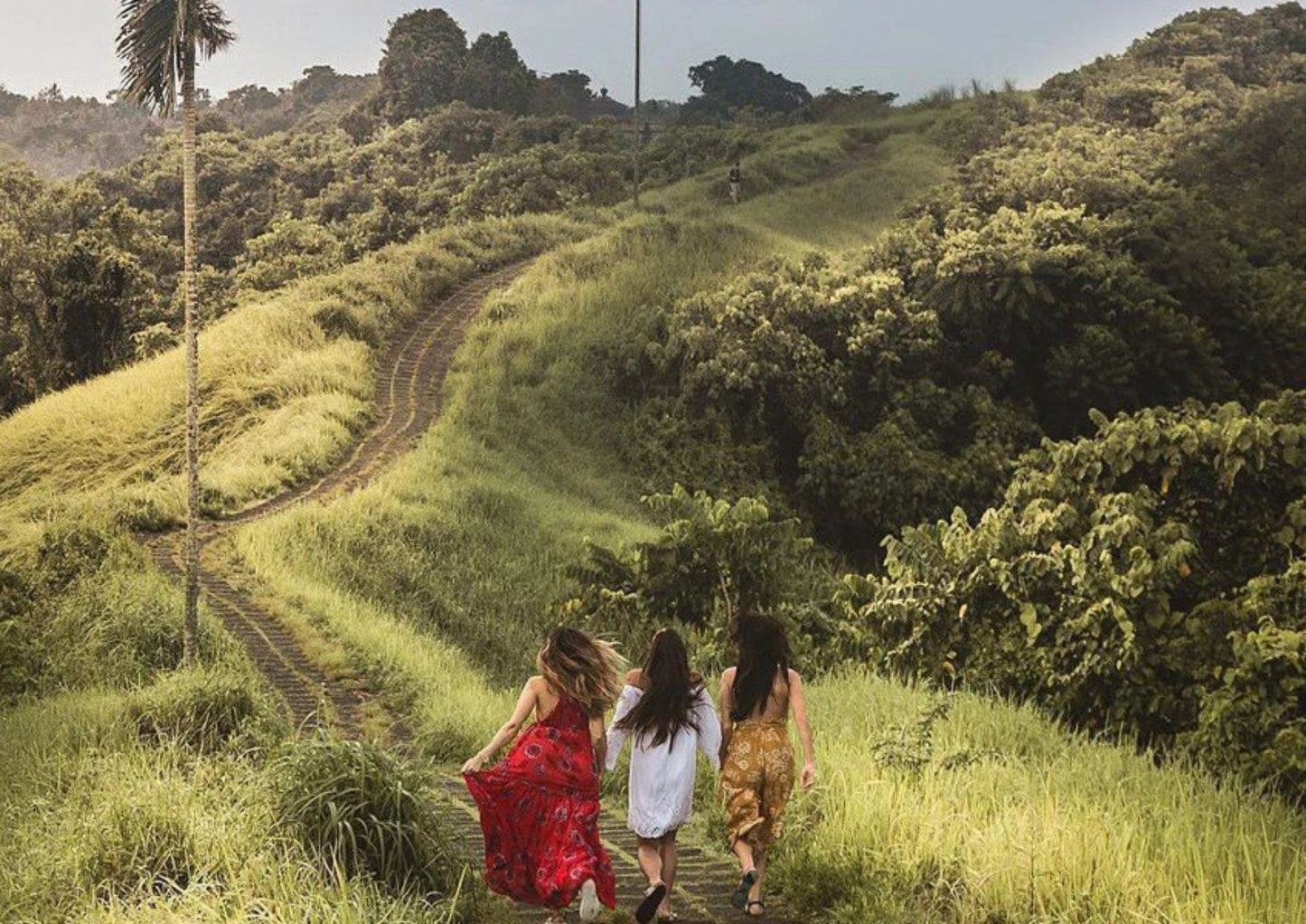 6 DAYS BALI PRIVATE TOUR