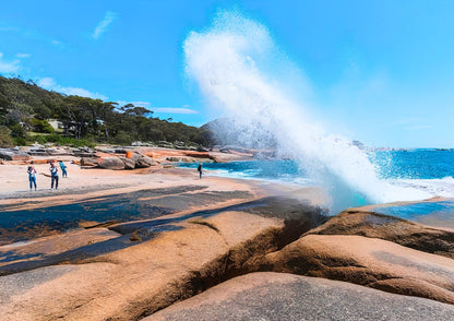 8 DAYS TASMANIA PRIVATE TOUR