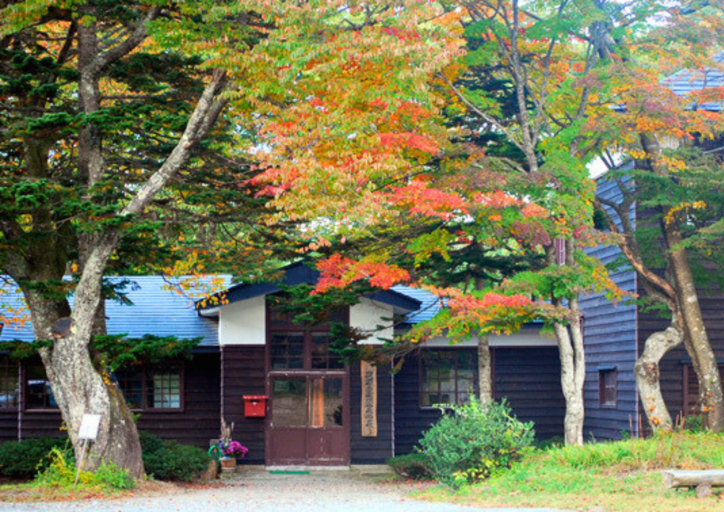 7 DAYS TOHOKU PRIVATE TOUR