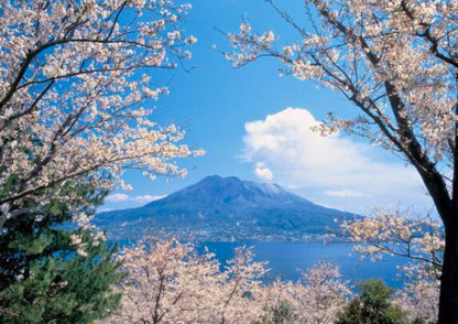 7 DAYS SOUTH KYUSHU PRIVATE TOUR