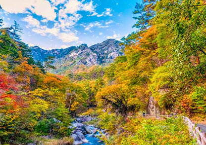 10天甲信越私人包團