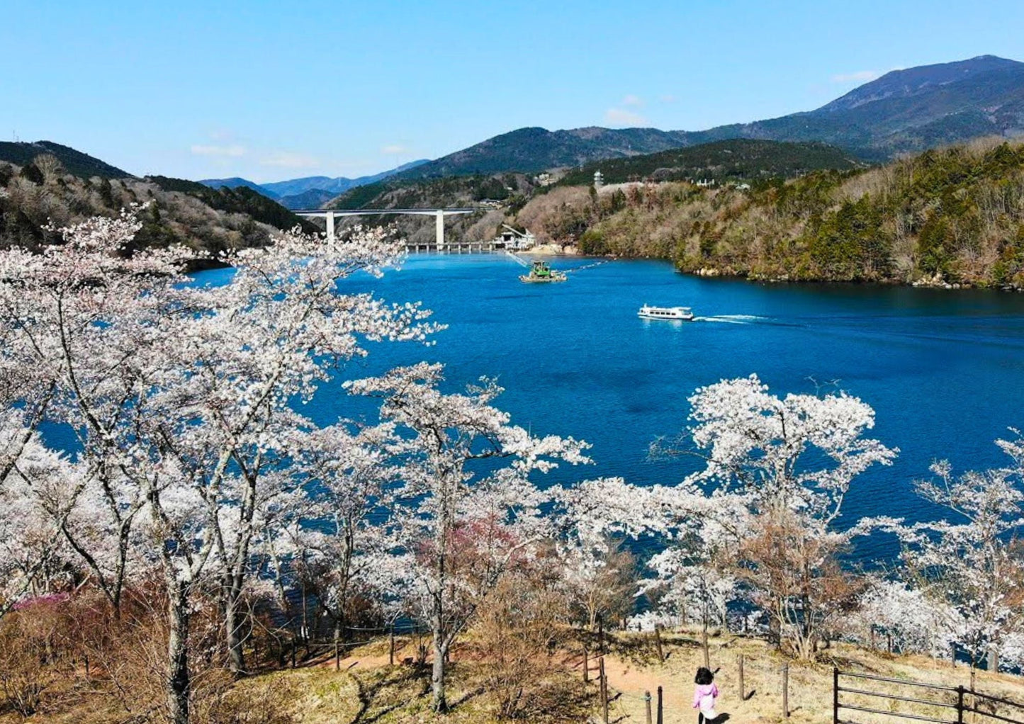 6日間の白川郷プライベートツアー