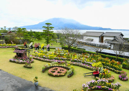 5 DAYS SOUTH KYUSHU PRIVATE TOUR