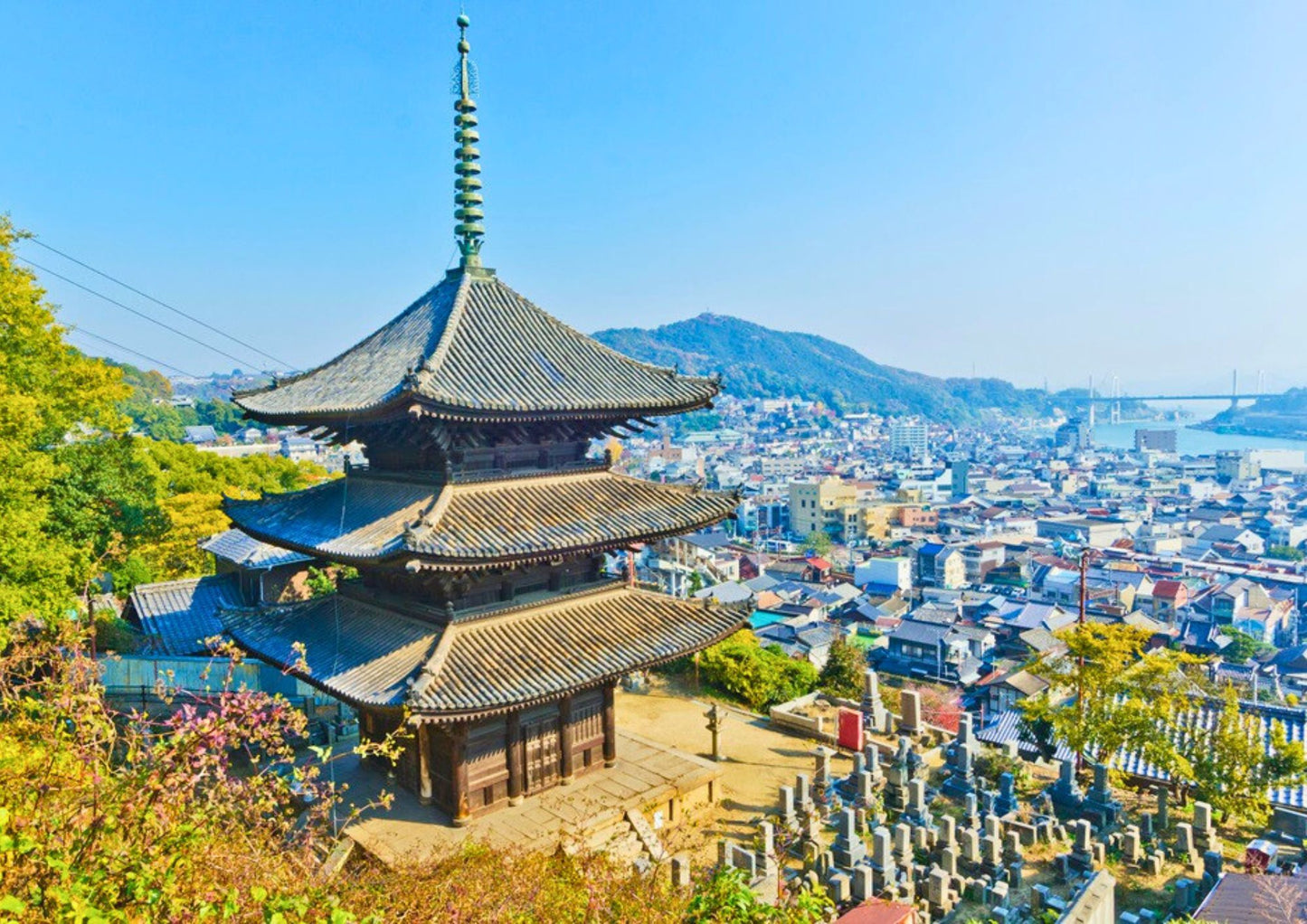 8天山陽・山陰私人包團