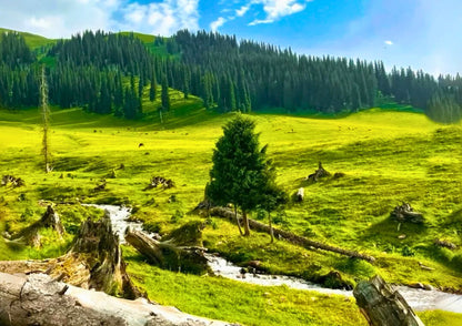 10 DAYS NORTH & WEST XINJIANG PRIVATE TOUR
