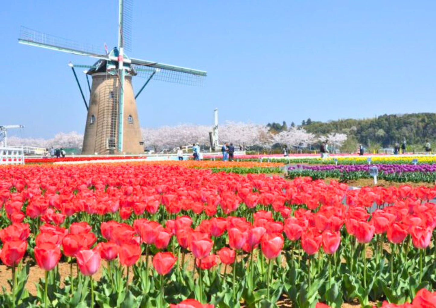 6 DAYS SOUTH KANTO PRIVATE TOUR