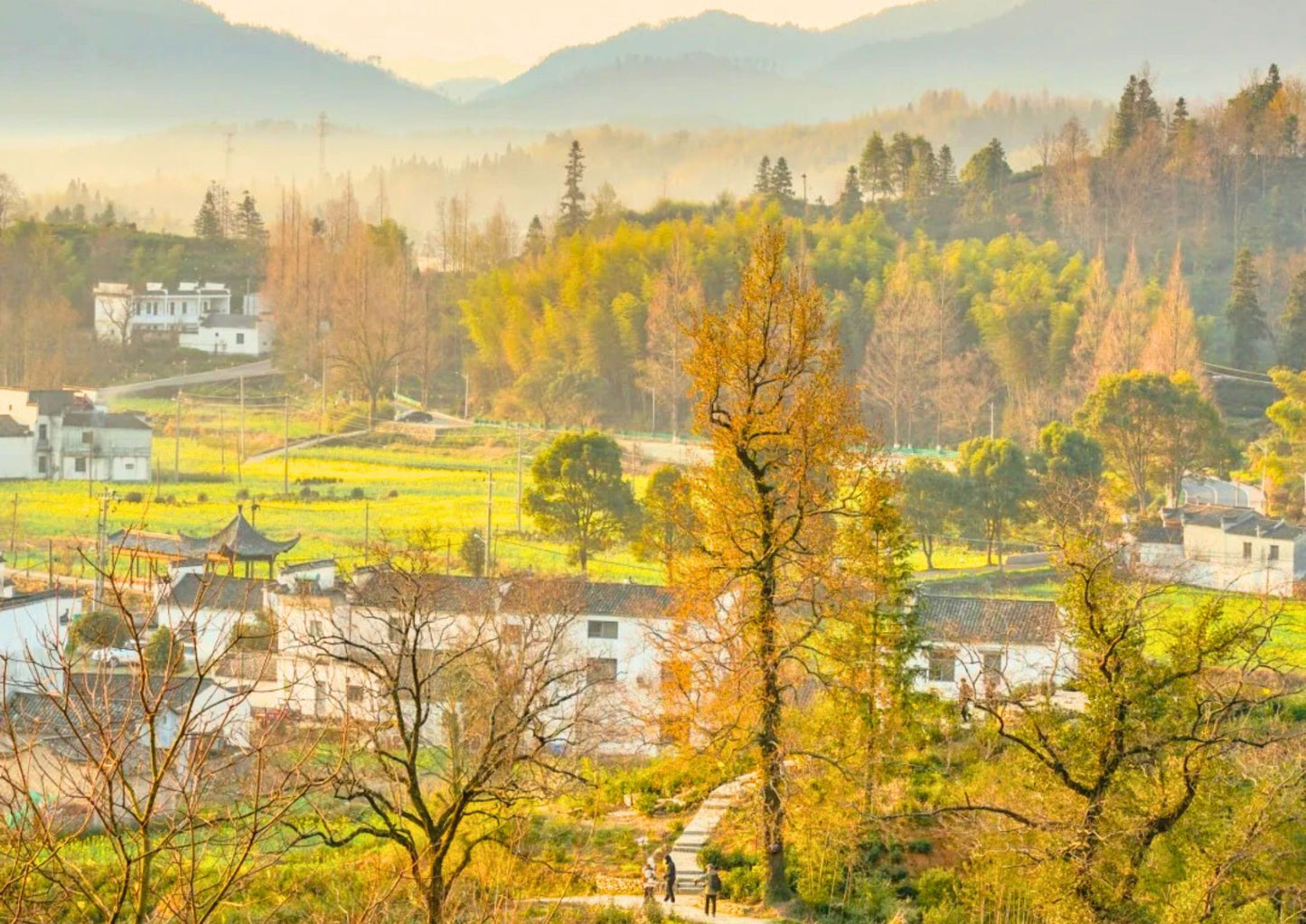7日間の黄山プライベートツアー