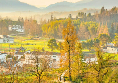 7日間の黄山プライベートツアー