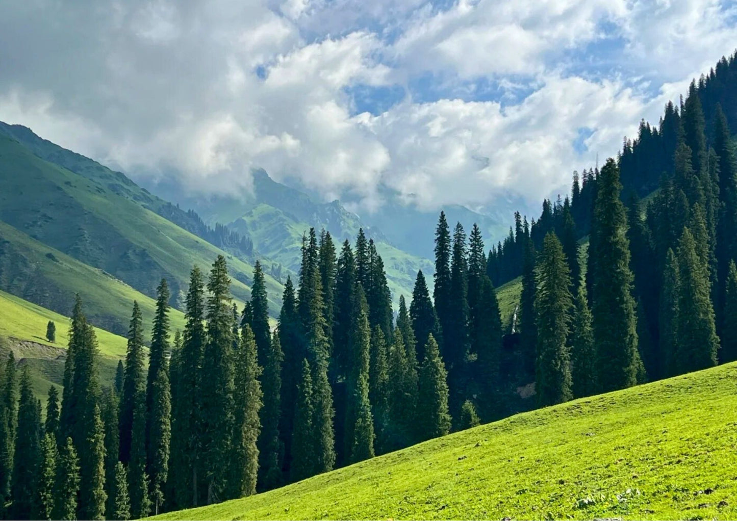 10 DAYS NORTH & WEST XINJIANG PRIVATE TOUR