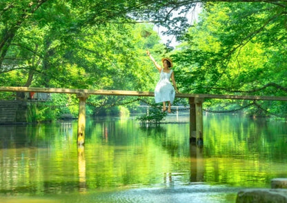 7日間の黄山プライベートツアー