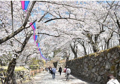 12日間の甲信越プライベートツアー