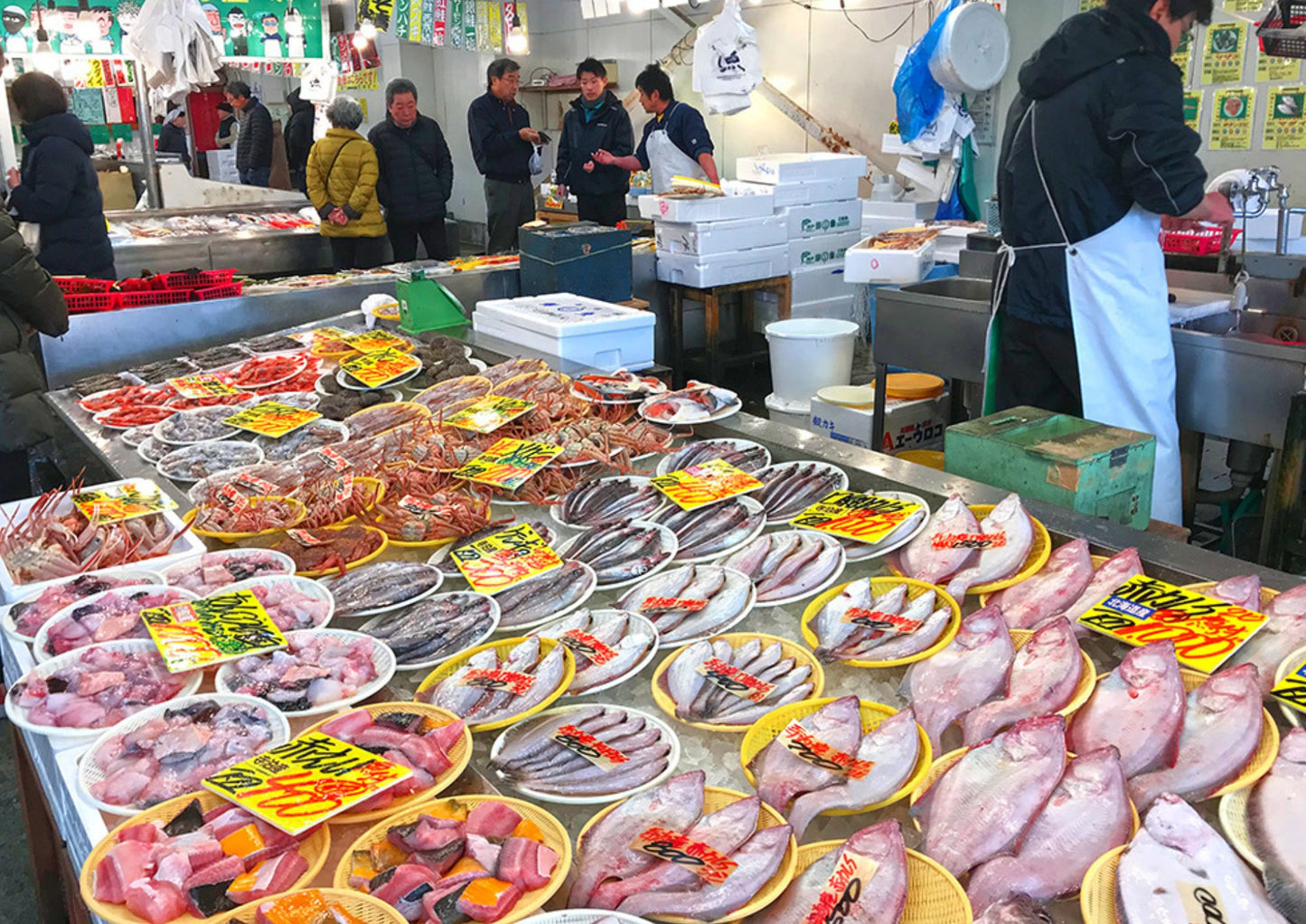 10天甲信越私人包團