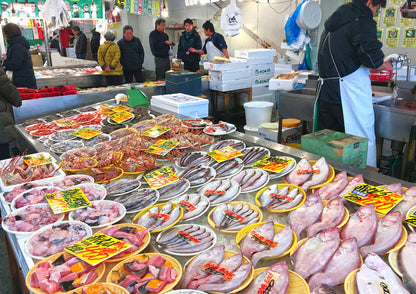 10天甲信越私人包團