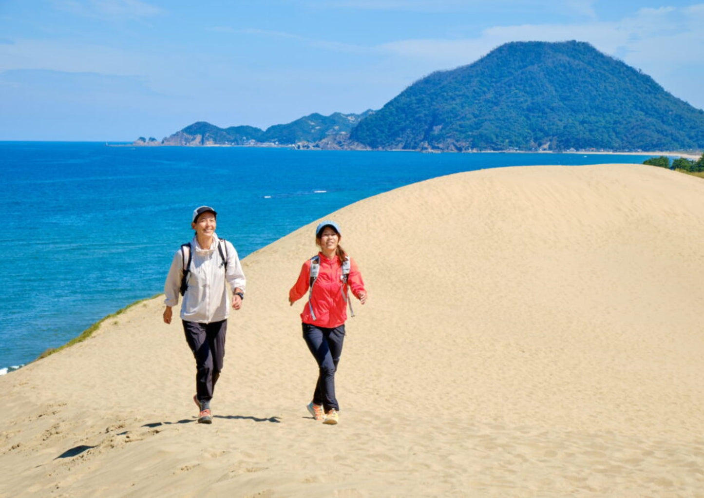 6天山陽・山陰私人包團