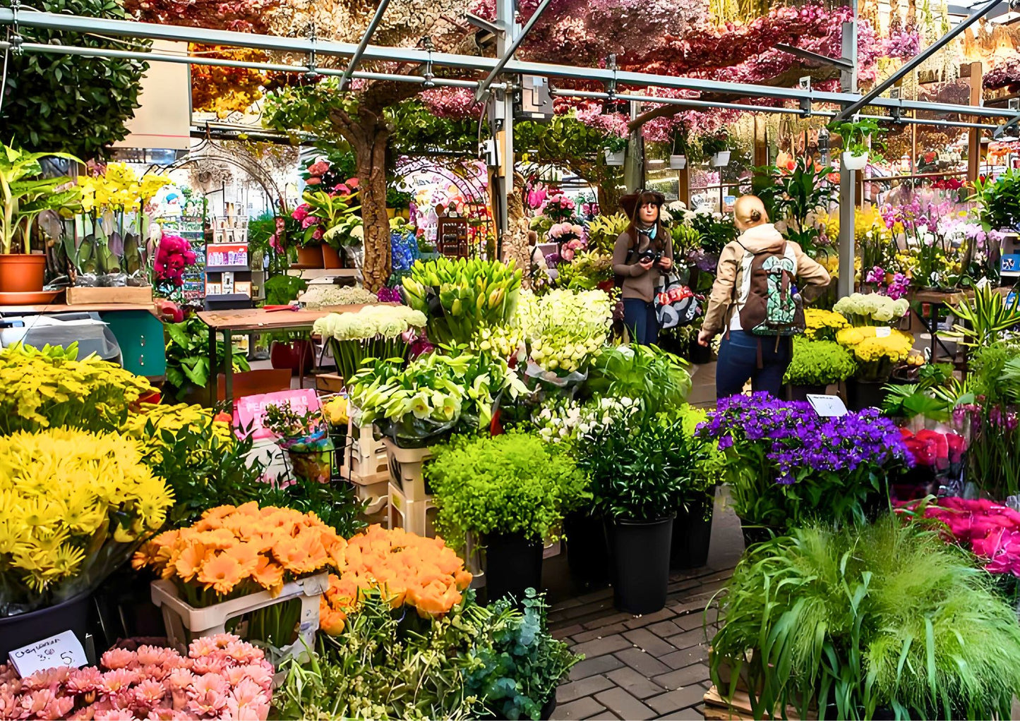 11 天荷蘭、比利時、盧森堡私人包團