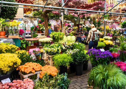 11 天荷蘭、比利時、盧森堡私人包團