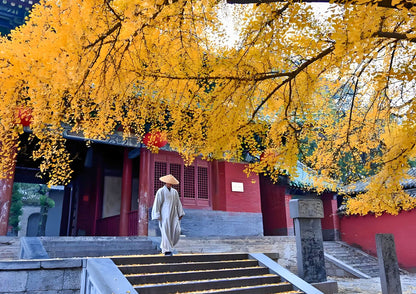 8 DAYS HENAN PRIVATE TOUR