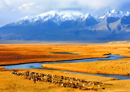 7 DAYS SOUTH XINJIANG PRIVATE TOUR