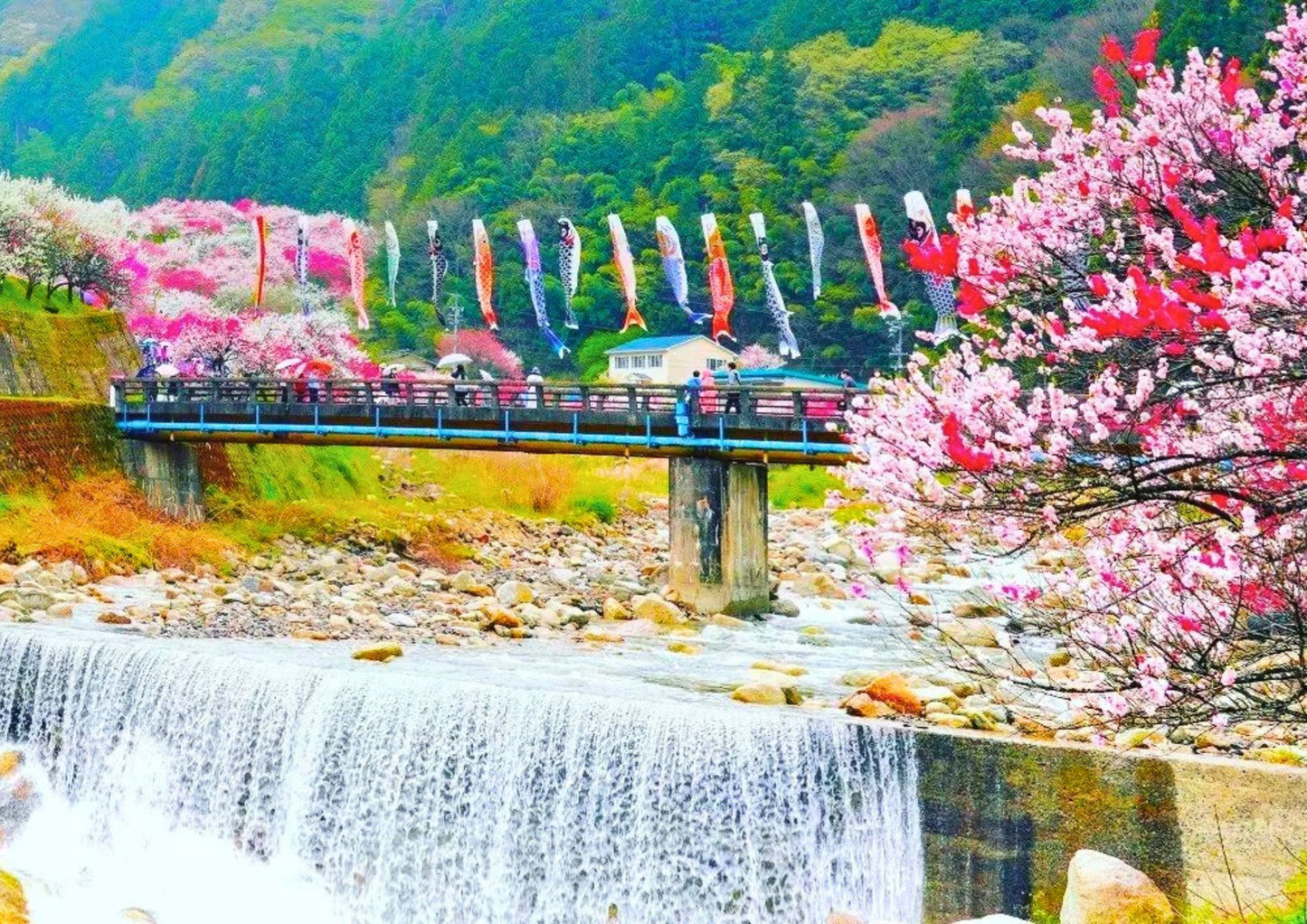 5日間の立山黒部プライベートツアー