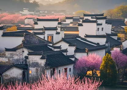 7日間の黄山プライベートツアー