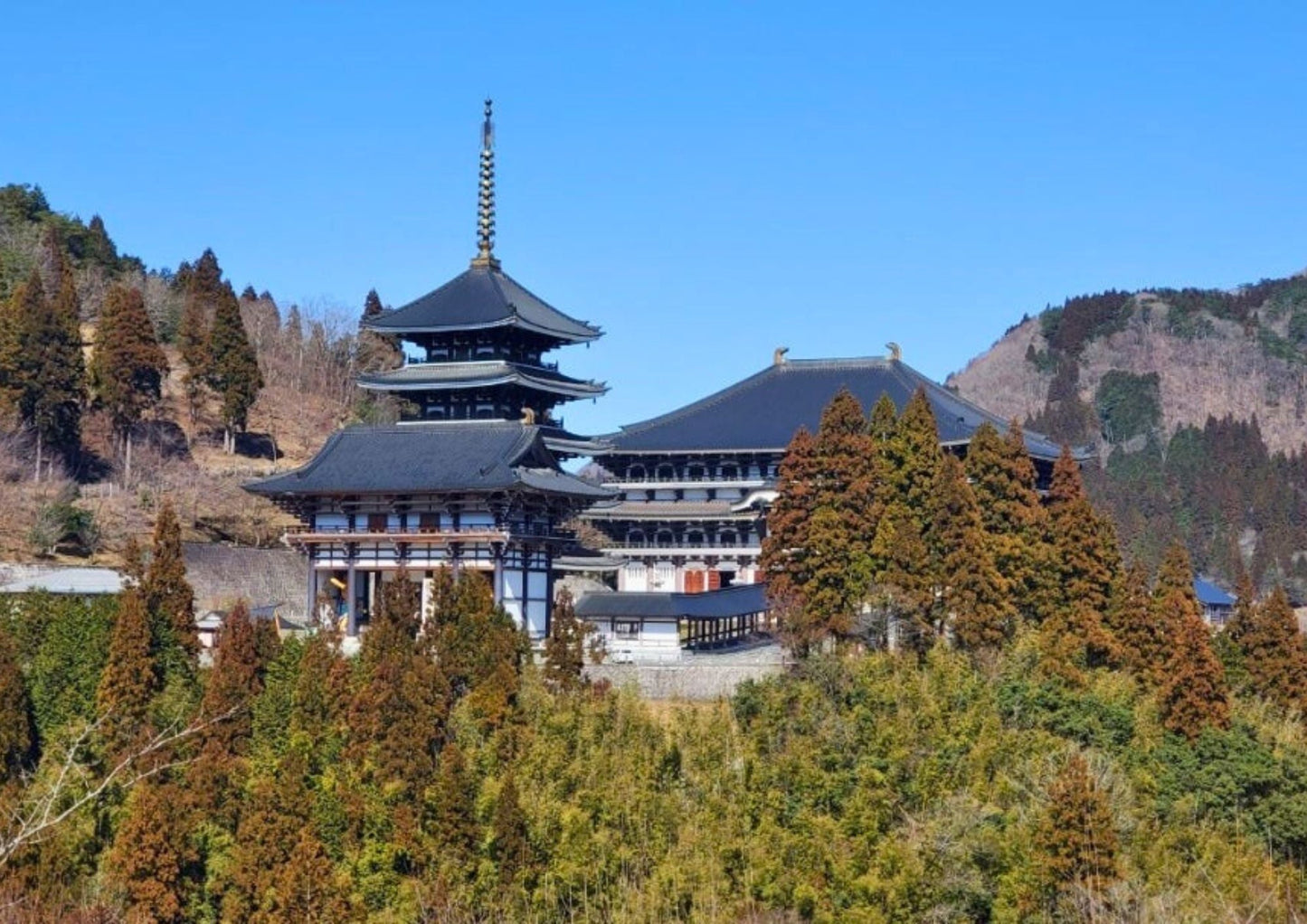 6 DAYS WEST KANSAI PRIVATE TOUR