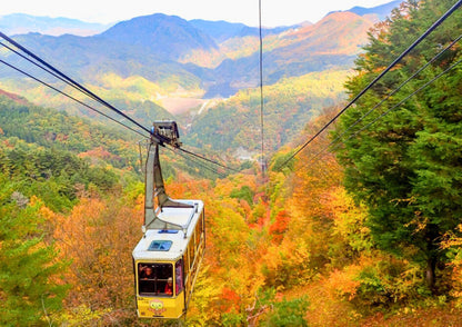 10天甲信越私人包團