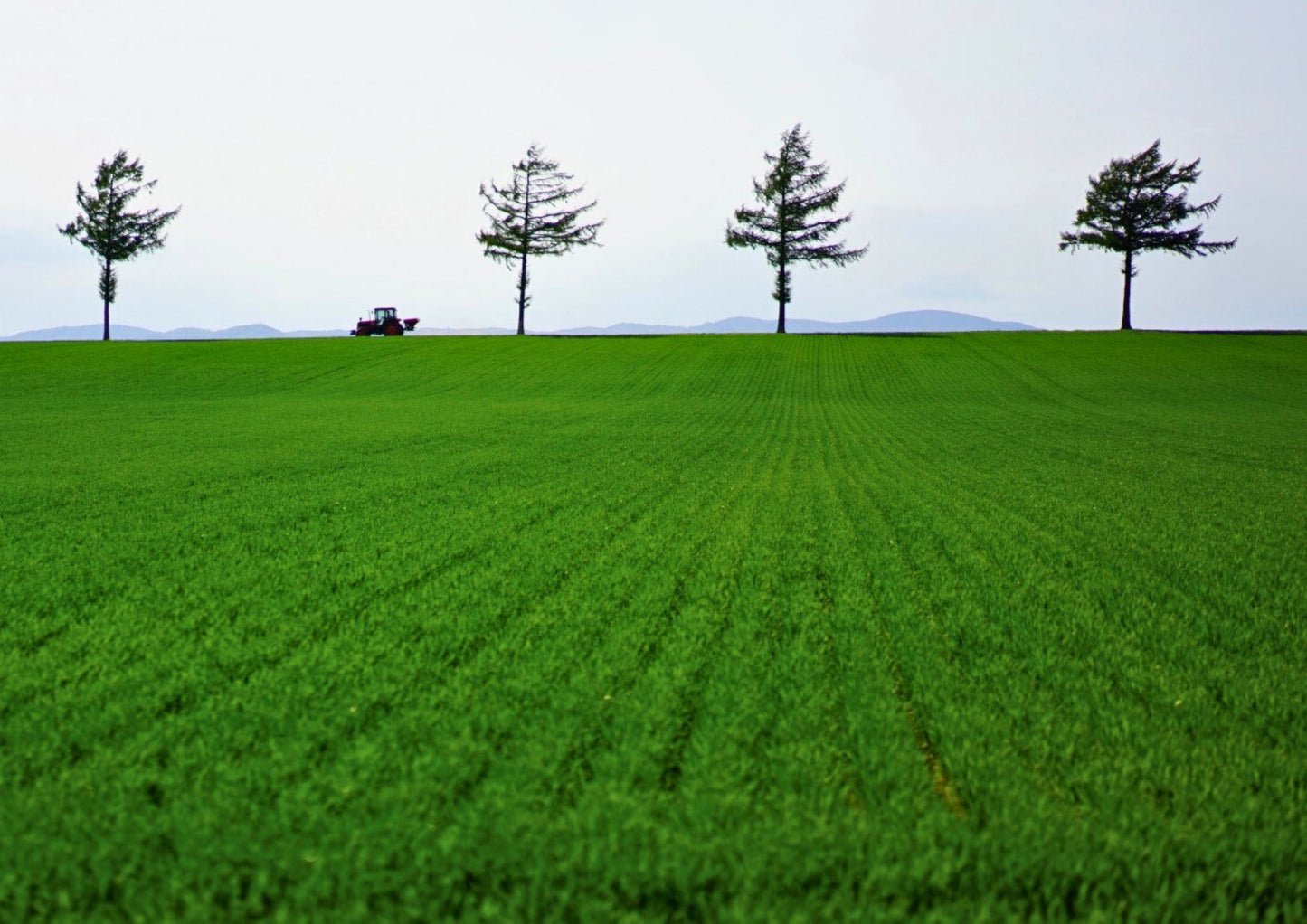 8 DAYS EAST HOKKADIO PRIVATE TOUR