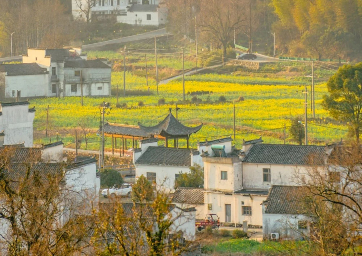 7日間の黄山プライベートツアー