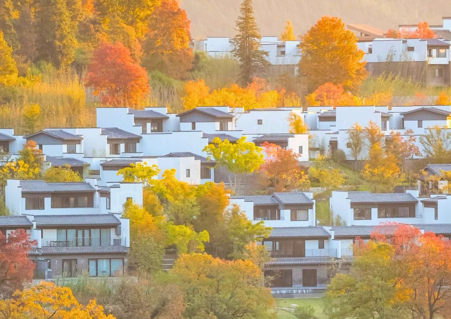 7日間の黄山プライベートツアー