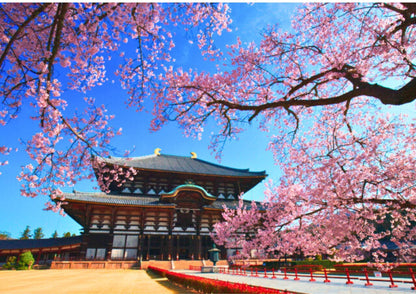 7 DAYS EAST KANSAI PRIVATE TOUR