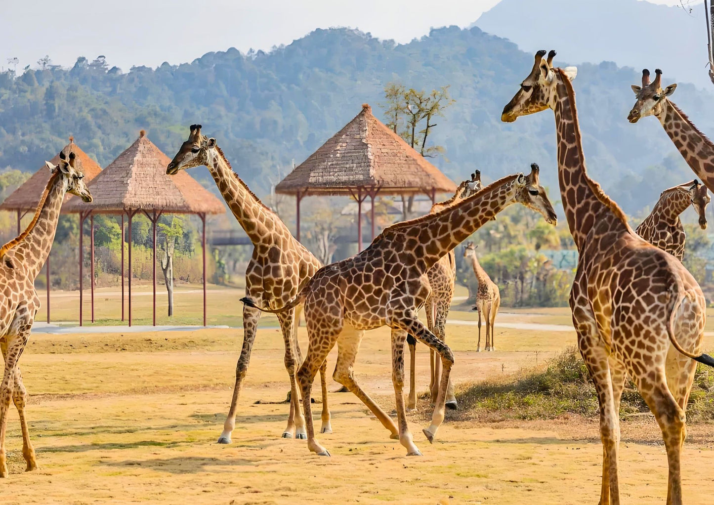 4 DAYS QINGYUAN PRIVATE TOUR