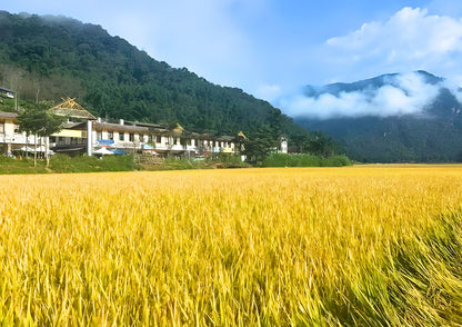 14 DAYS XISHUANGBANNA PRIVATE TOUR