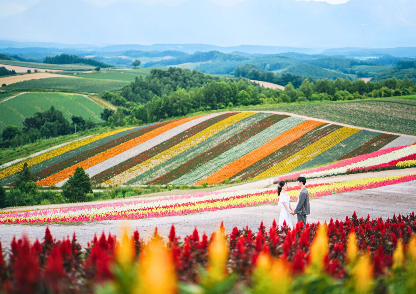 8 DAYS CENTRAL HOKKADIO PRIVATE TOUR