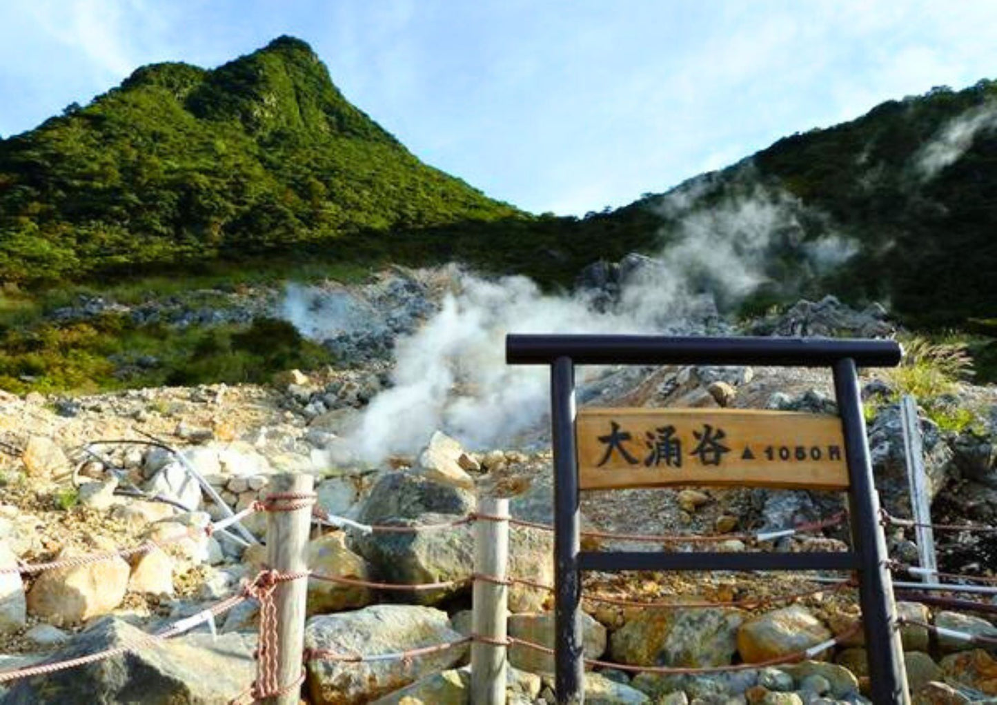 6天南關東私人包團