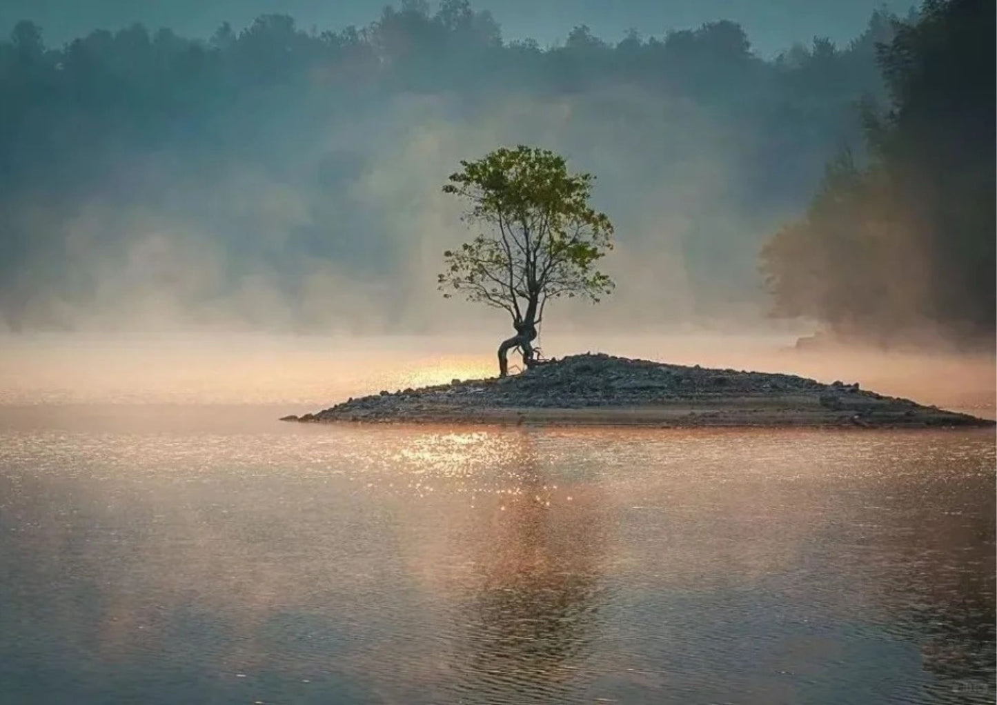 7日間の黄山プライベートツアー