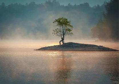 7日間の黄山プライベートツアー