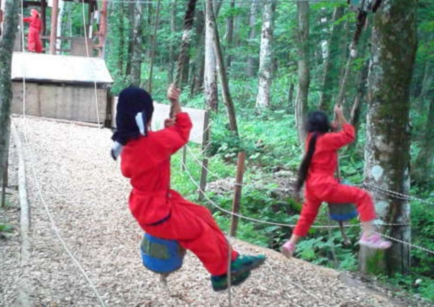 13天甲信越私人包團