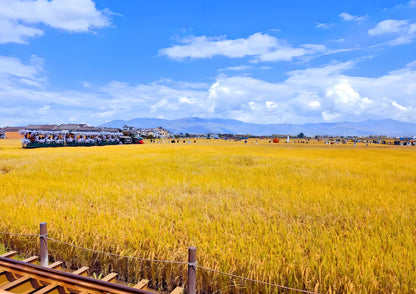 14 DAYS XISHUANGBANNA PRIVATE TOUR