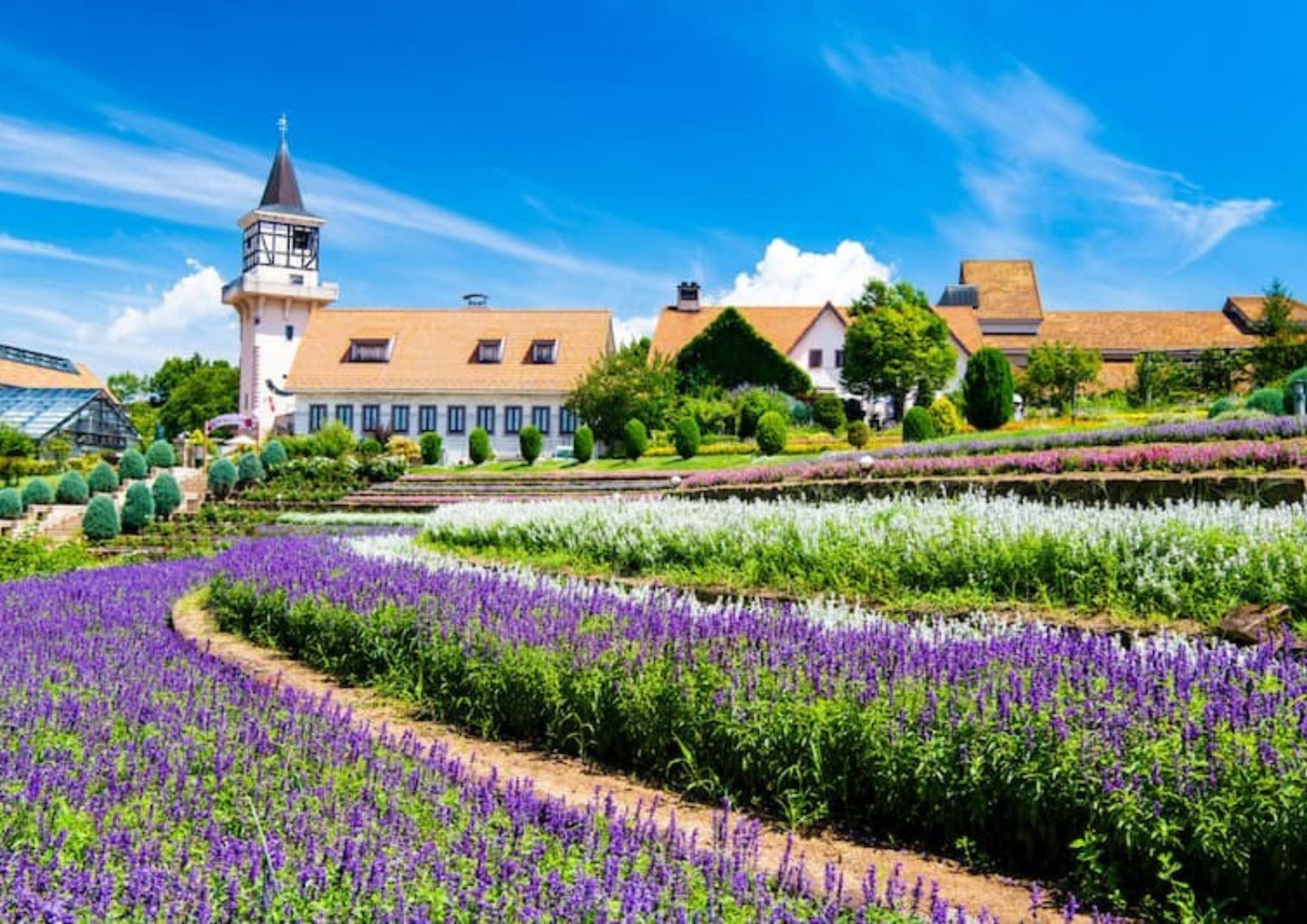 10天甲信越私人包團