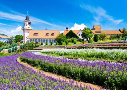 10天甲信越私人包團