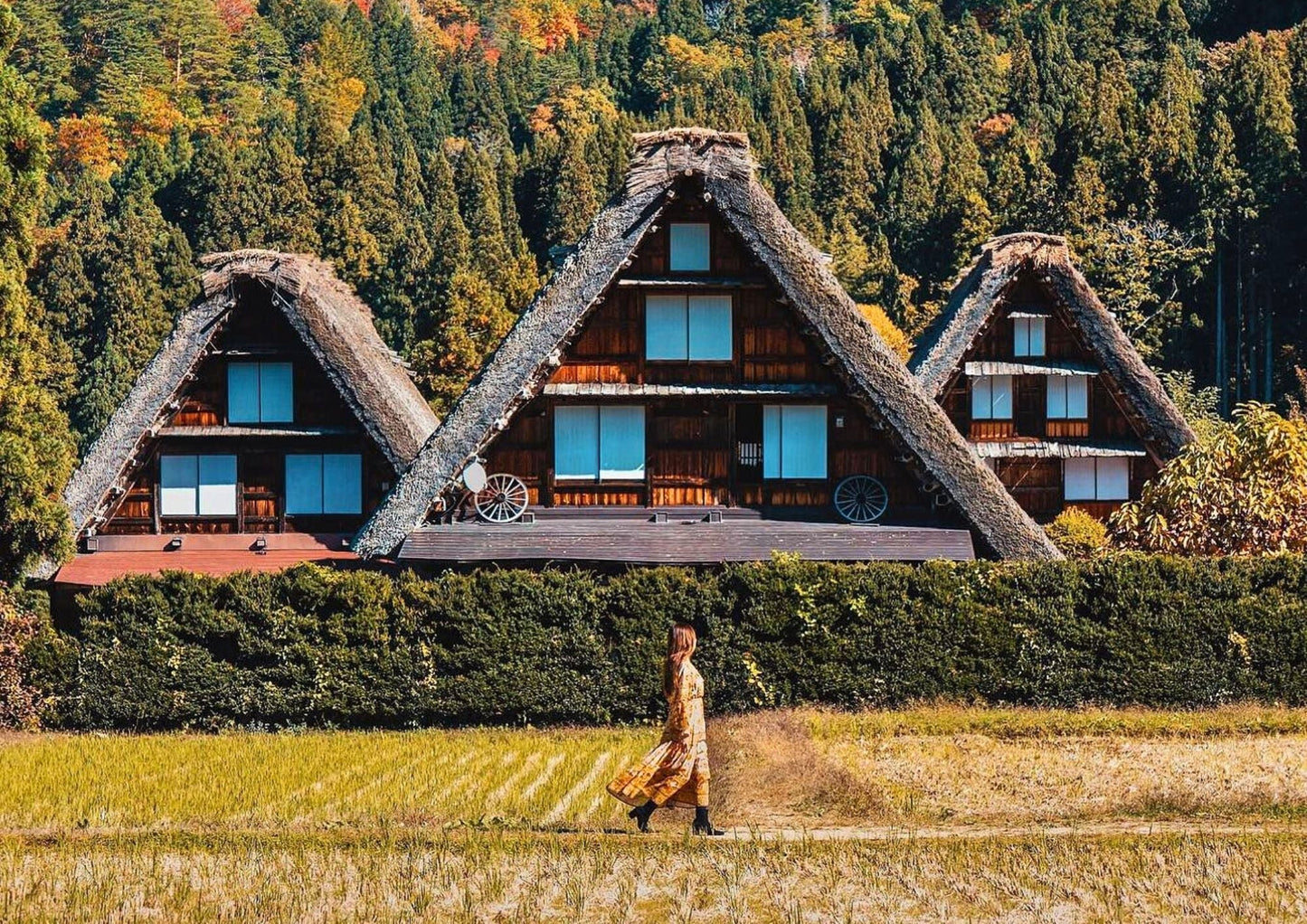 8 DAYS SHIRAKAWA-GO PRIVATE TOUR