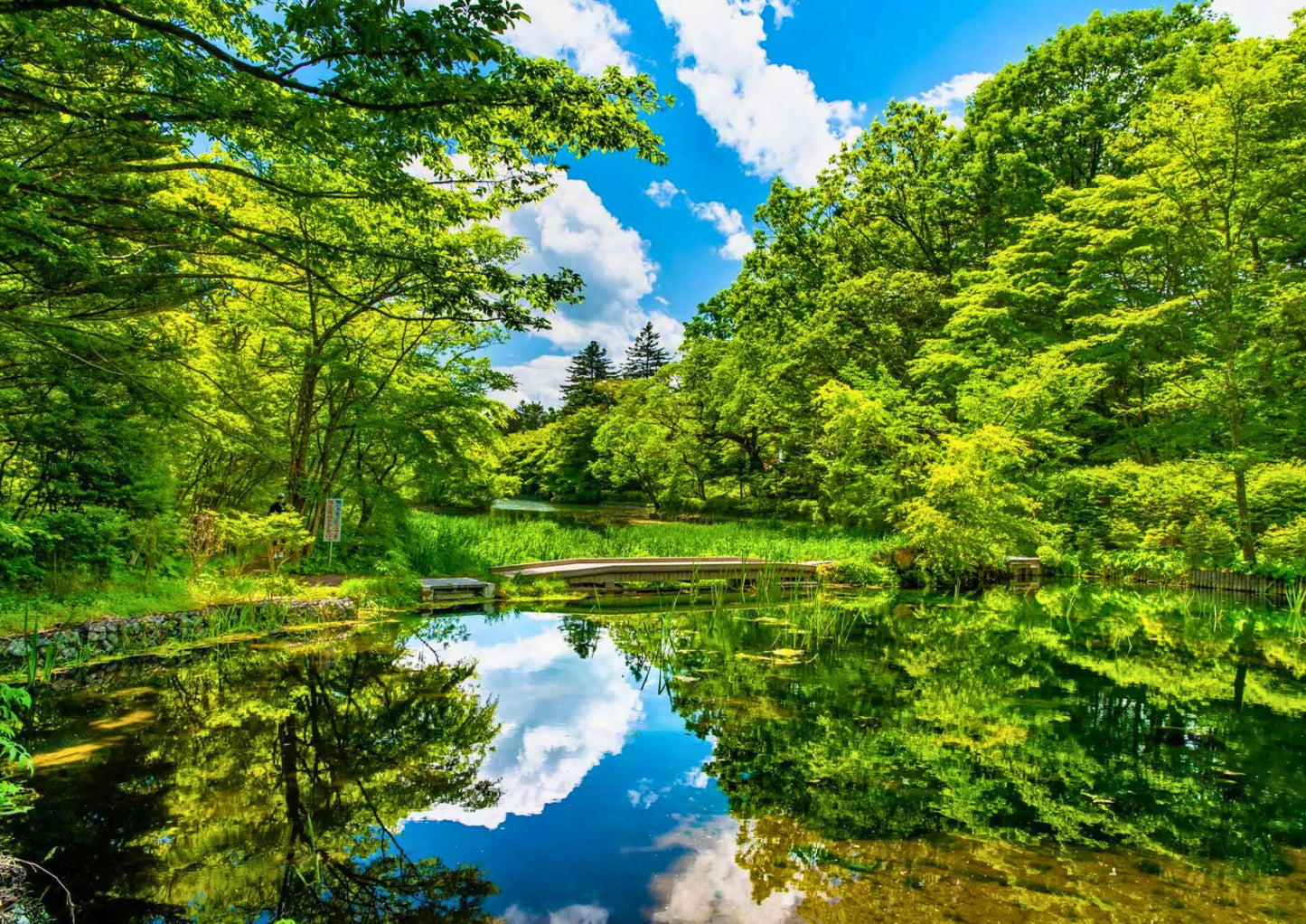 12日間の甲信越プライベートツアー