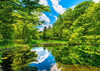 12日間の甲信越プライベートツアー