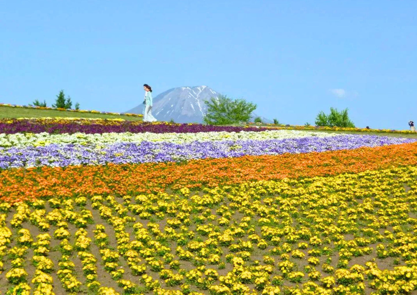 14日間の山陽・山陰プライベートツアー